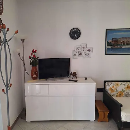 In Istrien 8354 Apartment *